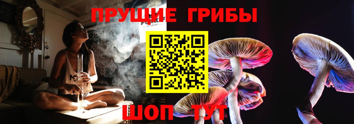 Волжский  Галлюциногенные грибы Psilocybe  где купить наркотик  Вход с VPN 